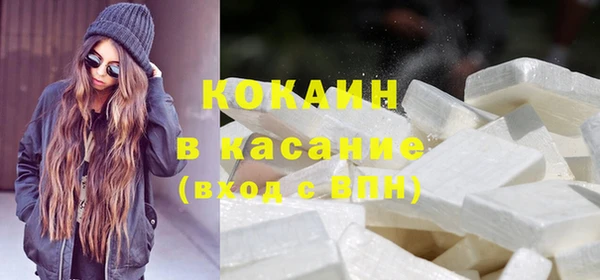 стаф Алзамай