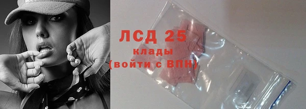 стаф Осташков