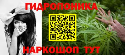 ECSTASY Ливны