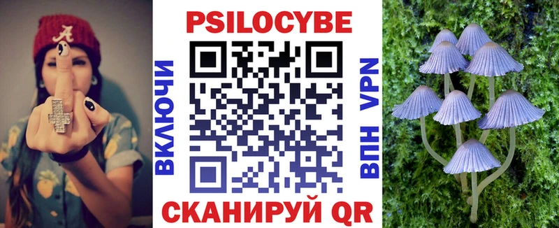 как найти закладки  Махачкала  Галлюциногенные грибы Cubensis 