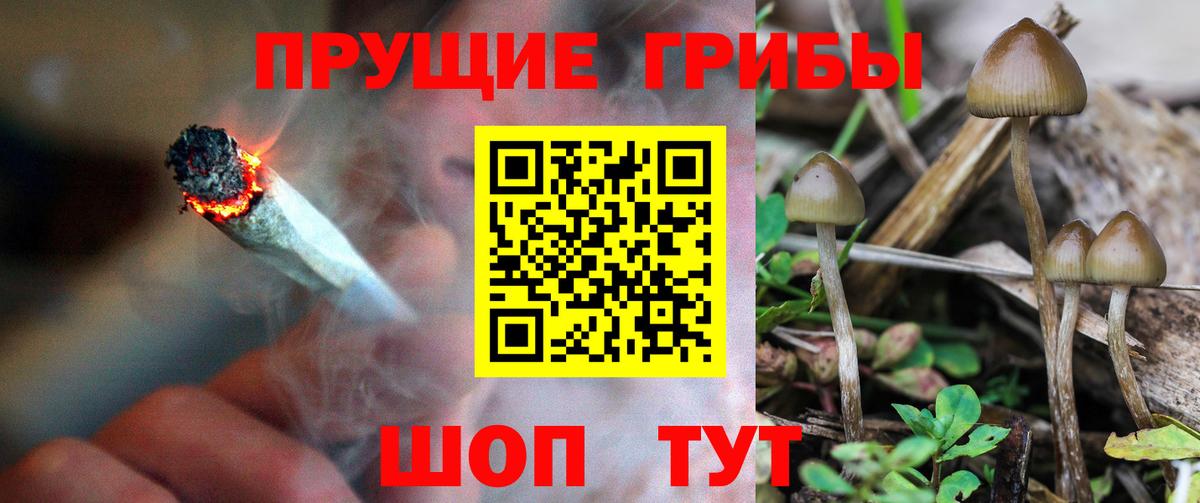 Галлюциногенные грибы Magic Shrooms  Псилоцибиновые грибы мухоморы  Махачкала  Вход с VPN 