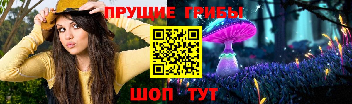 Галлюциногенные грибы ЛСД Махачкала